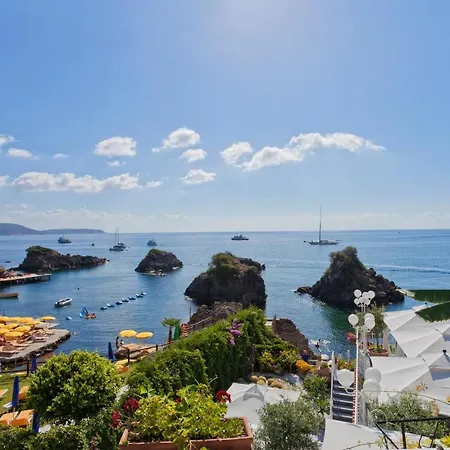 Delfini Ischia