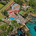 Delfini Ischia