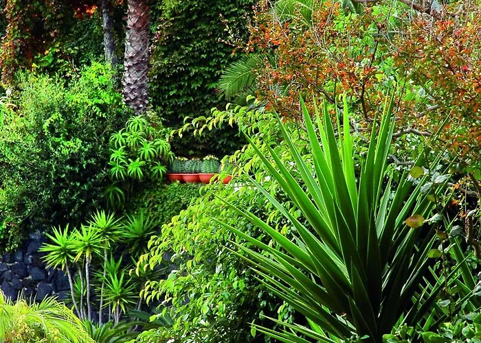 Hotel Delfini Isquia