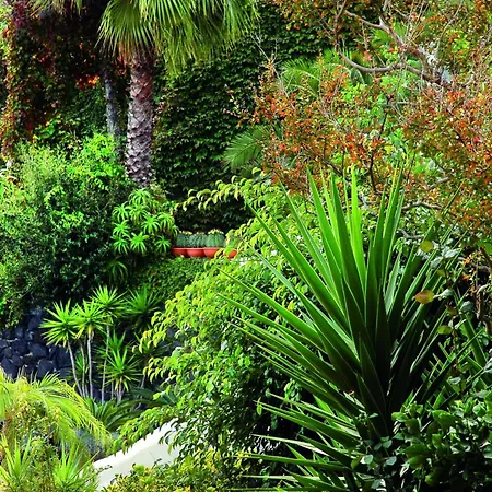 Hotel Delfini Ischia